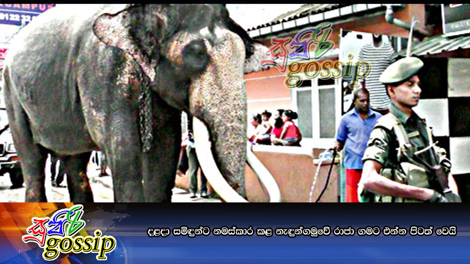 දළදා සමිඳුන්ට නමස්‌කාර කළ නැඳුන්ගමුවේ රාජා ගමට එන්න පිටත් වෙයි