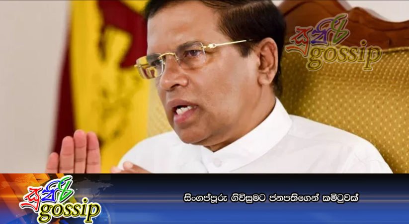 සිංගප්පූරු ගිවිසුමට ජනපතිගෙන් කමිටුවක්