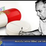 මහාචාර්ය සේනක බිබිලේ ගුණ සමරුව අද කොළඹදී