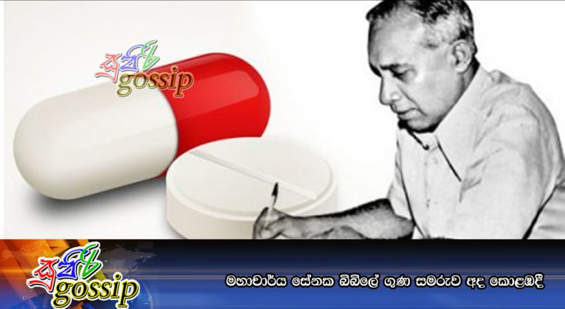 මහාචාර්ය සේනක බිබිලේ ගුණ සමරුව අද කොළඹදී