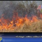 අට්ටවිල්ලුව රක්ෂිතය හදිසියේ ගිනිගනී