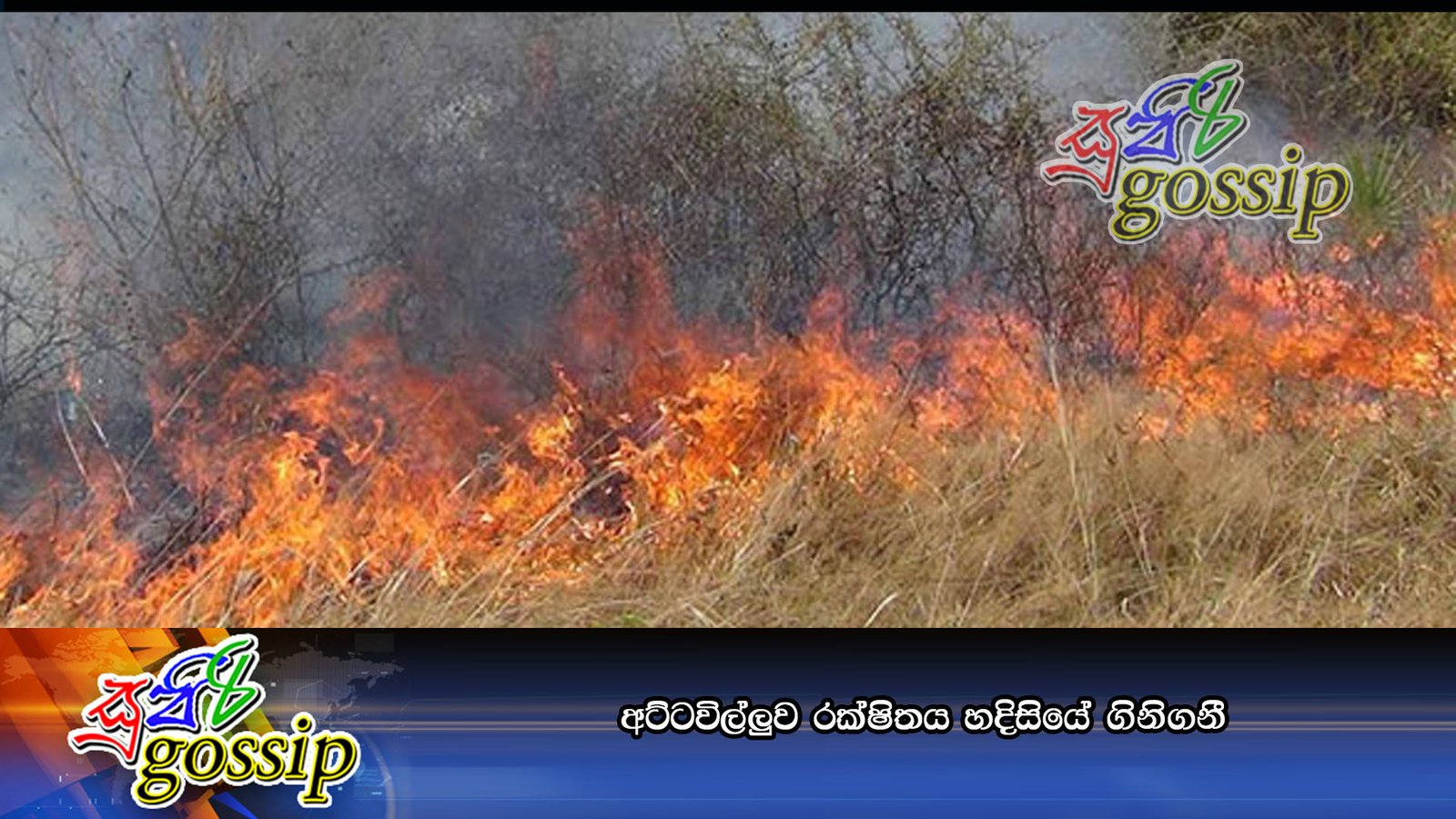 අට්ටවිල්ලුව රක්ෂිතය හදිසියේ ගිනිගනී