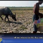 මේ මස අවසාන වන විට නියං සමය අඩුවන ලකුණු