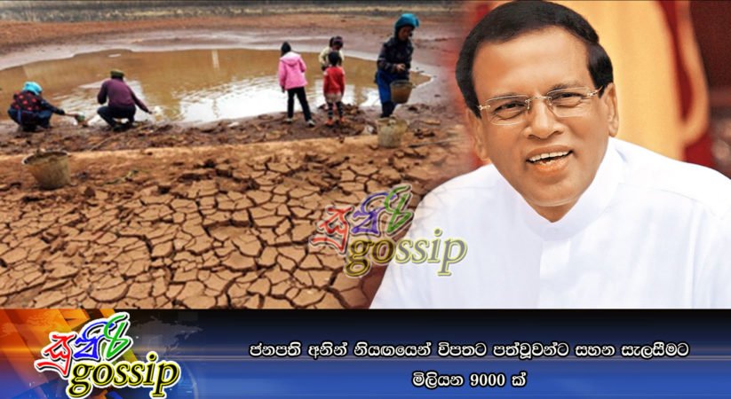 ජනපති අනින් නියඟයෙන් විපතට පත්වූවන්ට සහන සැලසීමට මිලියන 9000 ක්