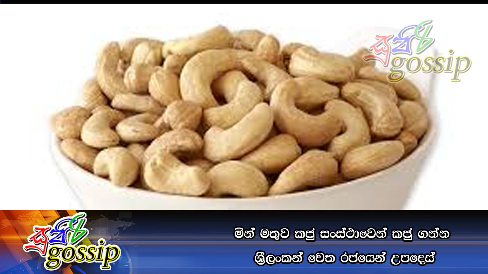 මින් මතුව කජු සංස්ථාවෙන් කජු ගන්න ශී‍්‍රලංකන් වෙත රජයෙන් උපදෙස්