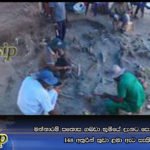 මන්නාරම් සතොස ගබඩා භූමියේ දැනට සොයාගත් ඇටසැකිලි 148 අතුරින් කුඩා ළමා ඇට සැකිලි 17ක්