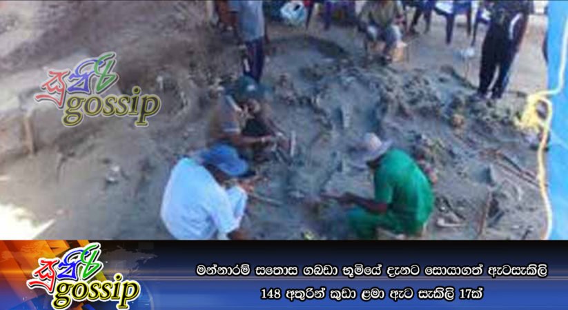 මන්නාරම් සතොස ගබඩා භූමියේ දැනට සොයාගත් ඇටසැකිලි 148 අතුරින් කුඩා ළමා ඇට සැකිලි 17ක්