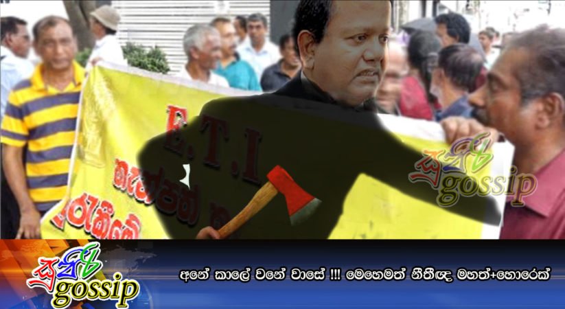 අනේ කාලේ වනේ වාසේ !!! මෙහෙමත් නීතීඥ මහත්+හොරෙක්