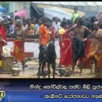හින්දු කෝවිල්වල සත්ව බිලි පූජාවට තහනම් – කැබිනට්‌ යෝජනාවට අනුමැතිය