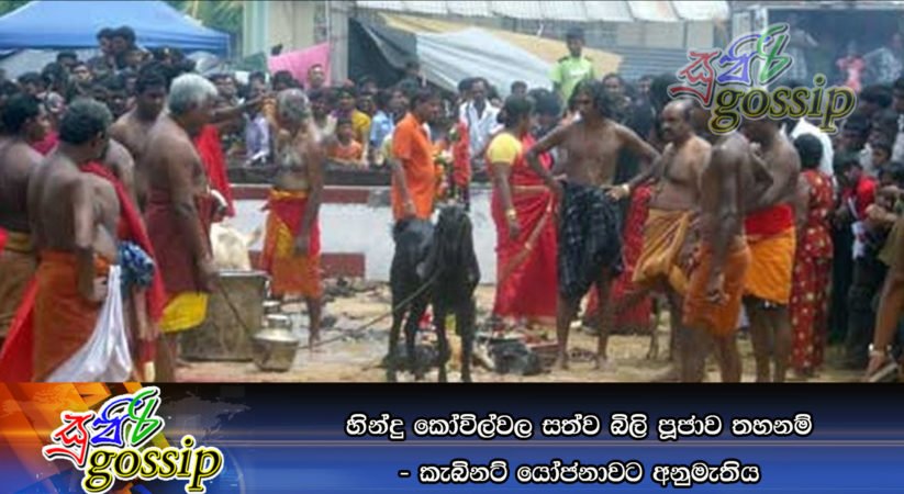 හින්දු කෝවිල්වල සත්ව බිලි පූජාවට තහනම් – කැබිනට්‌ යෝජනාවට අනුමැතිය