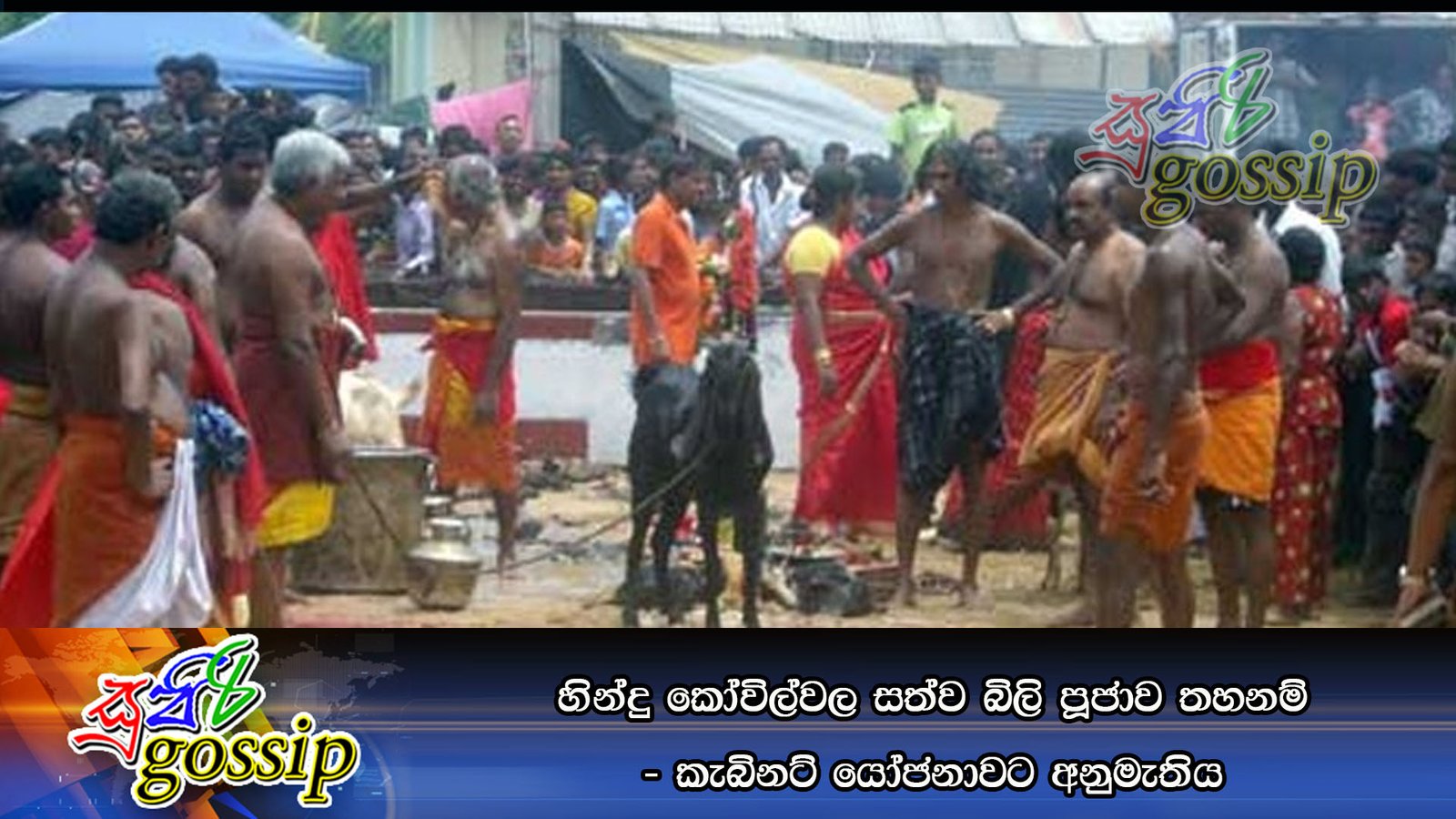 හින්දු කෝවිල්වල සත්ව බිලි පූජාවට තහනම් – කැබිනට්‌ යෝජනාවට අනුමැතිය