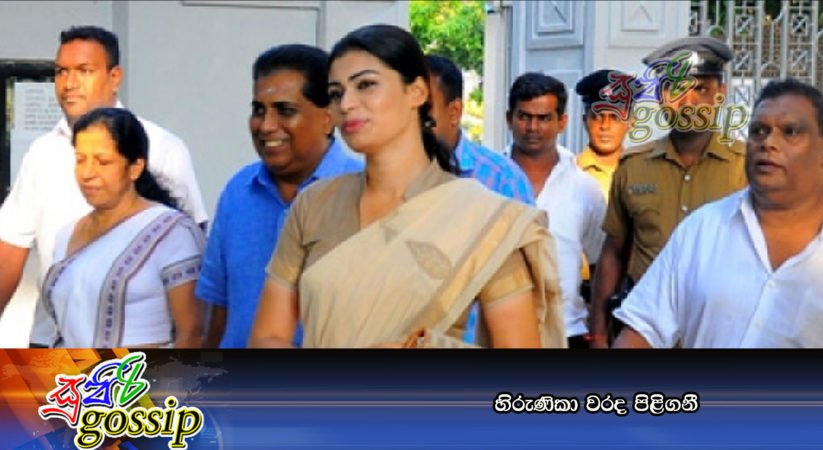 හිරුණිකා වරද පිළිගනී