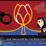 බෆල් එකක්‌ දෙන්නම් කියා පාළු නිවසක ගරාජයක වෑන් එකකට ගෙනිහිල්ලා පාසල් දරුවාට අතවර කළ පොහොට්‌ටුවේ මන්ත්‍රී රිමාන්ඩ්