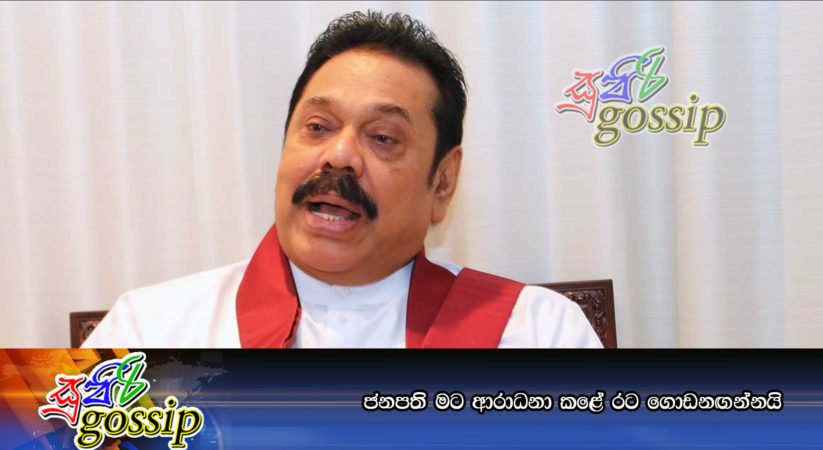 ජනපති මට ආරාධනා කළේ රට ගොඩනඟන්නයි