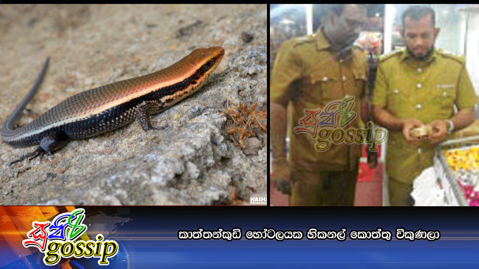 කාත්තන්කුඩි හෝටලයක හිකනල් කොත්තු විකුණලා