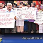 හිටපු කොටි 8000 ක්‌ කැනඩාවේ