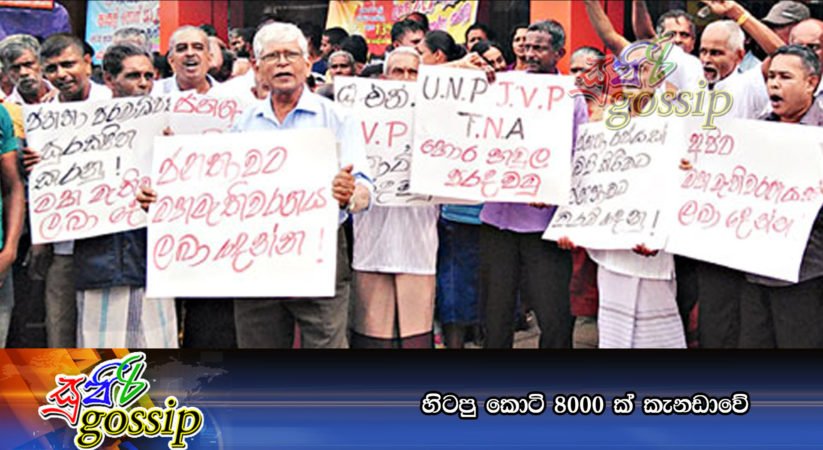 හිටපු කොටි 8000 ක්‌ කැනඩාවේ