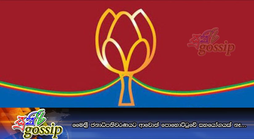 මෛත‍්‍රී ජනාධිපතිවරණයට ආවොත් පොහොට්ටුවේ සහයෝගයක් නෑ…