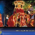 මෙවර කැළණි මහ පෙරහැර නෑ…