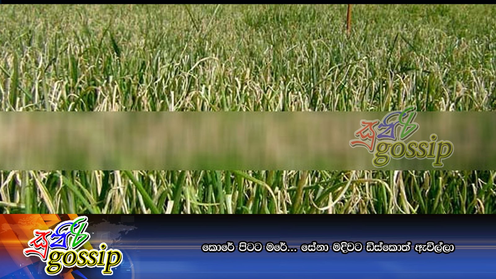 සේනා මදිවට දැන් ඩිස්කෝ ඇවිල්ලා