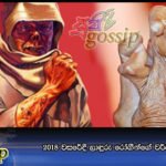 2018 වසරේදී ලාඳුරු රෝගීන්ගේ වර්ධනයක් …..