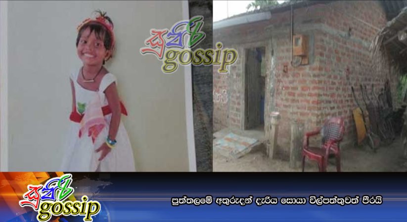 පුත්තලමේ අතුරුදන් දැරිය සොයා විල්පත්තුවත් පීරයි