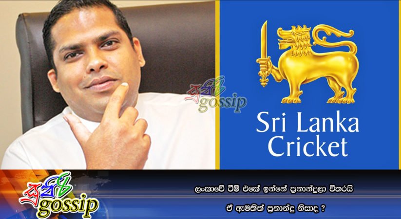 ලංකාවේ ටීම් එකේ ඉන්නේ ප්‍රනාන්දුලා විතරයි”” ඒ ඇමතිත් ප්‍රනාන්දු නිසාද ?