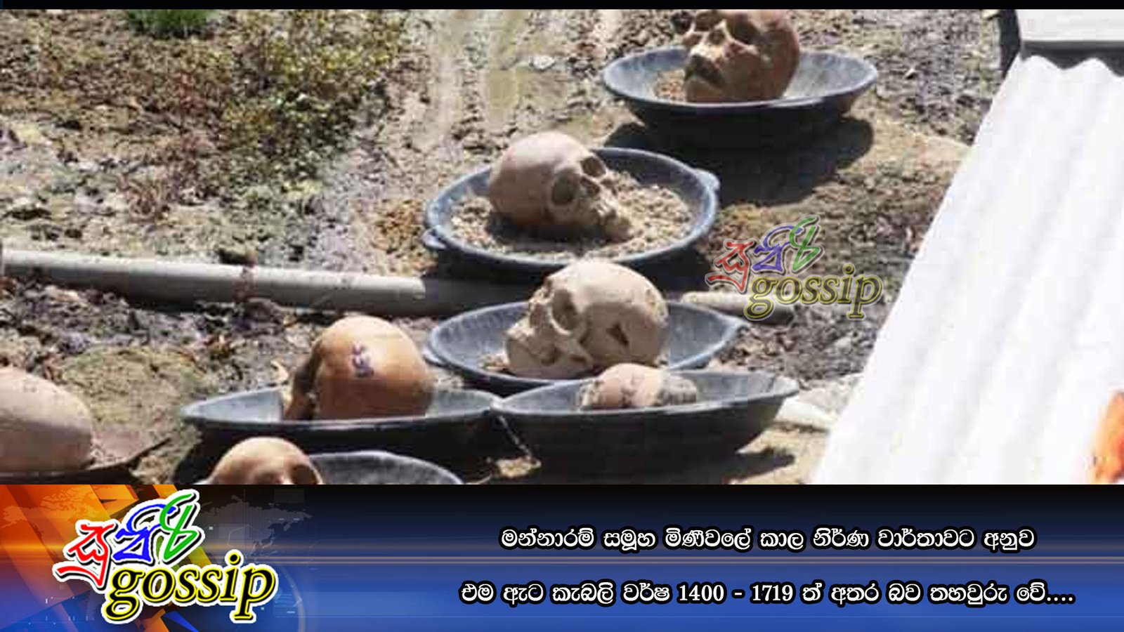 මන්නාරම් සමූහ මිණීවලේ කාල නිර්ණ වාර්තාවට අනුව එම ඇට කැබලි වර්ෂ 1400 – 1719 ත් අතර බව තහවුරු වේ….