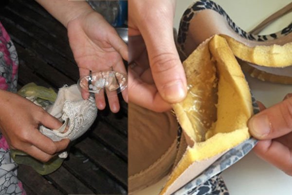 තන පටවල තිබූ ජෙල් විෂ රසායන හෝ වඳ බෙහෙත් නොවන බව රස පරීක්‍ෂක තහවුරු කරයි