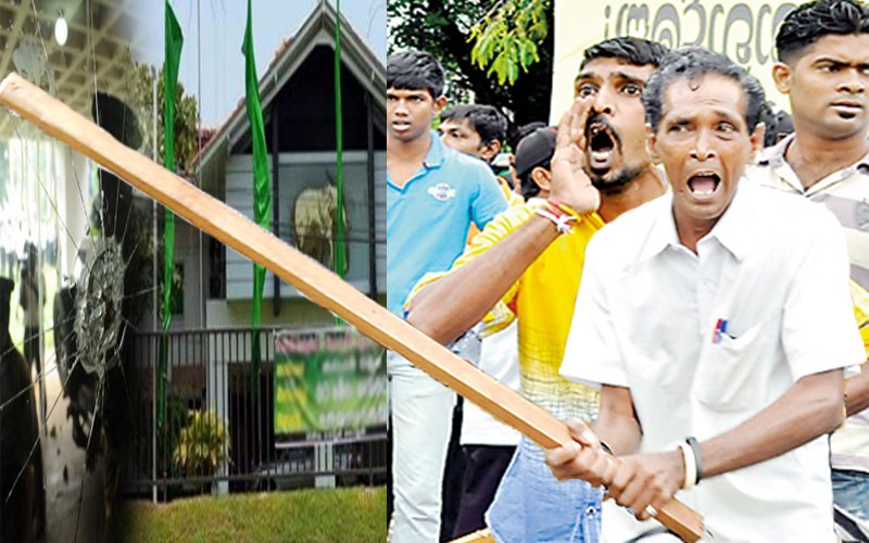 සජිත්ගේ රස්තියාදුකාරයෝ සහ කුරුඳු පොලු කාරයෝ යළි සිරිකොත වටලන්න සැරසෙයි