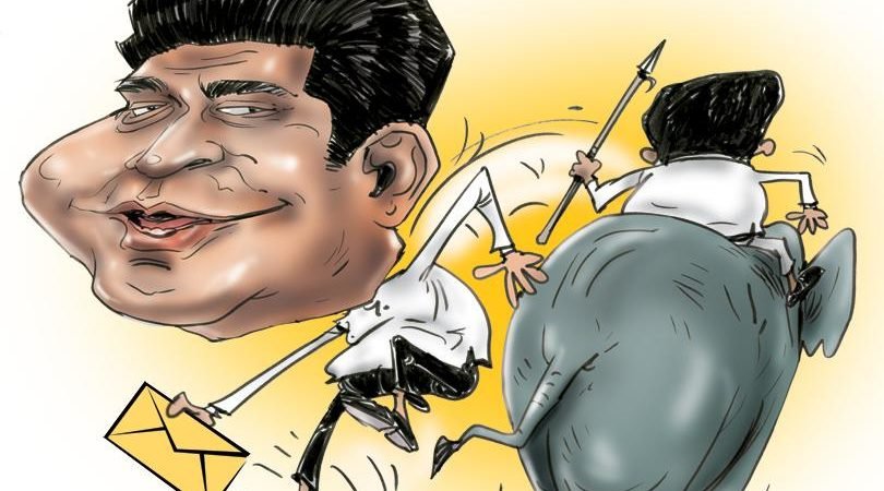 ගෙඹි වස්සා යළි පිම්මකට සැරසෙයි; ගොන් ගෙඹි වස්සා වැට පනින්න පෙර පක්ෂයෙන් පන්නා දමයි