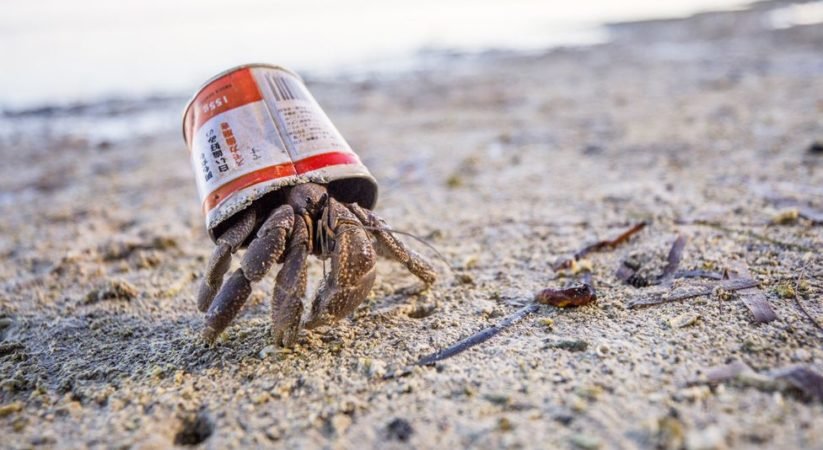 වසරේ දිය යට ඡායාරූප දැක ගන්න එන්න