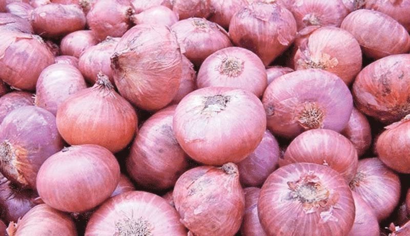 ලොකු ලුනු මිල බසින බවට සහතිකයක්