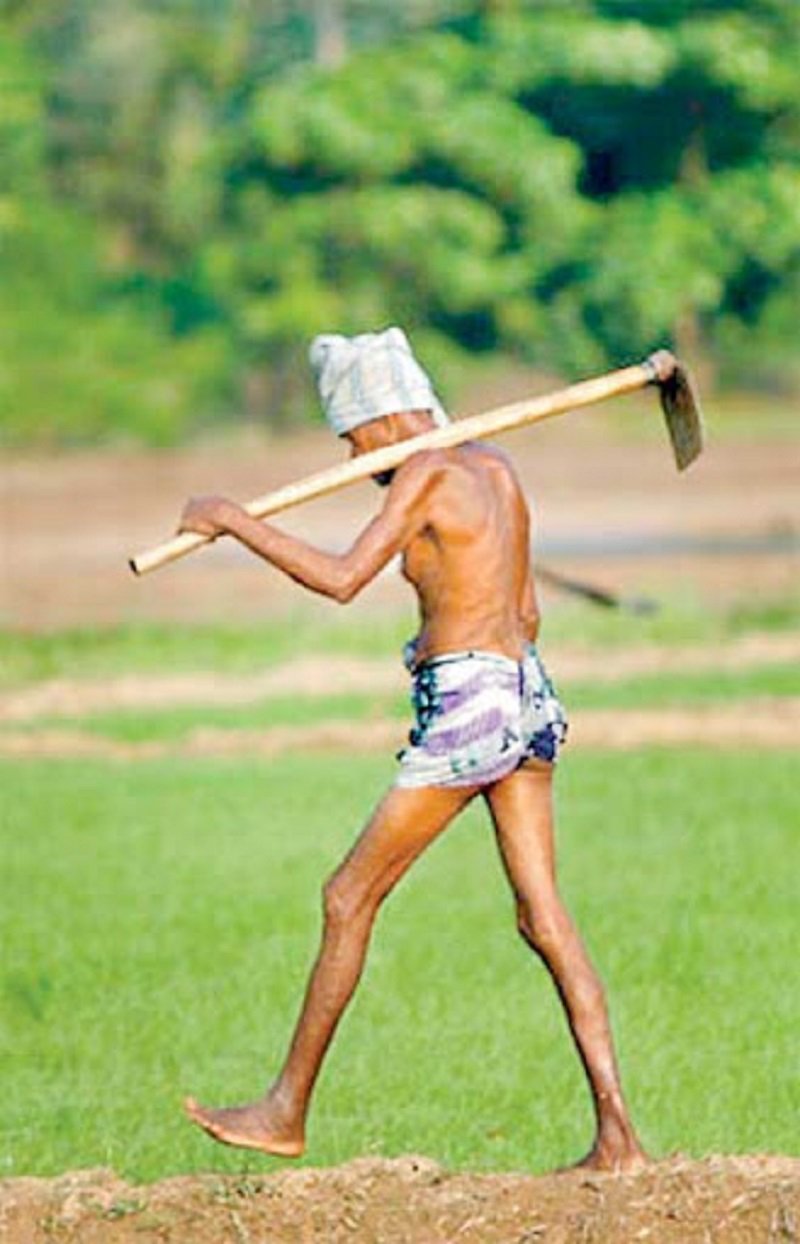 යූරියා වෙනුවට ඉන්දියාවෙන් ‘නැනෝ නයිට්‍රජන් දියර පොහොර‘