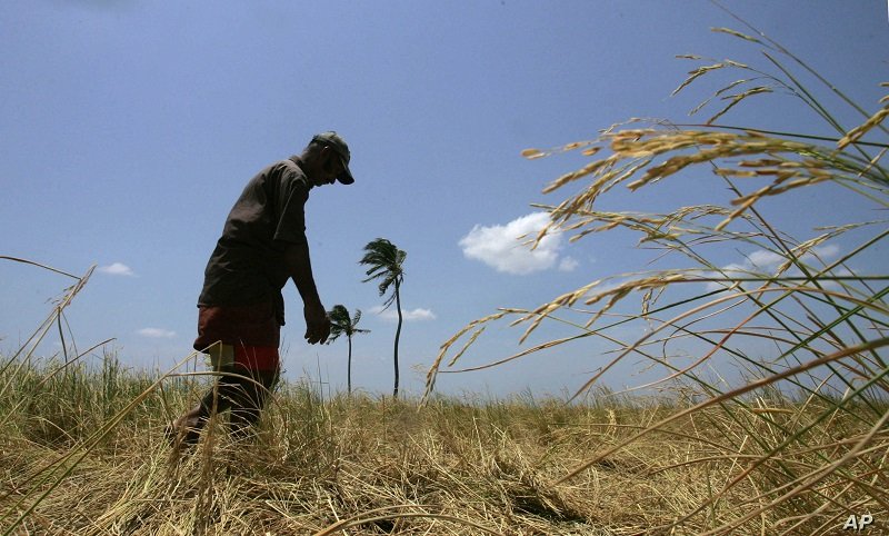 සත පහක් වත් වාරිකය නොගෙවා ‘ගොවියා ගොඩ යන’ කෘෂි රක්ෂණය මෙන්න !