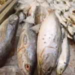 ආනයනික මසුන් සඳහා අය කෙරෙන බදු ඉහළ දැමේ