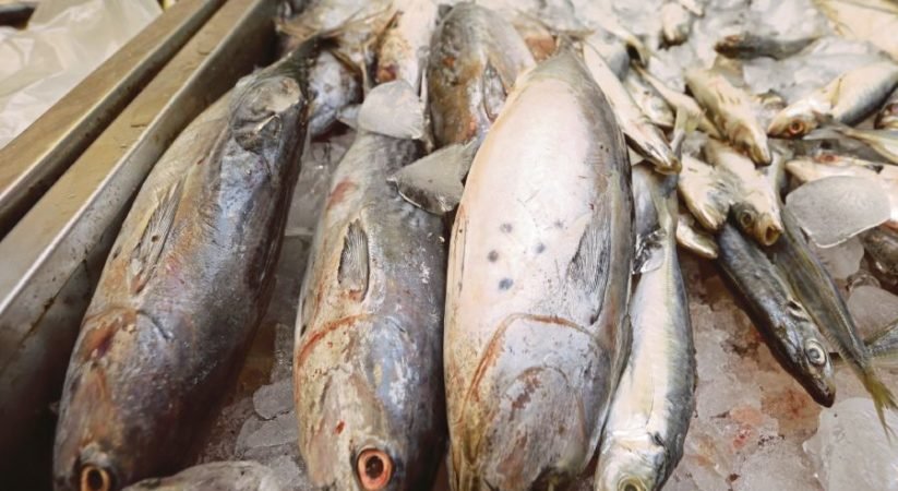 ආනයනික මසුන් සඳහා අය කෙරෙන බදු ඉහළ දැමේ