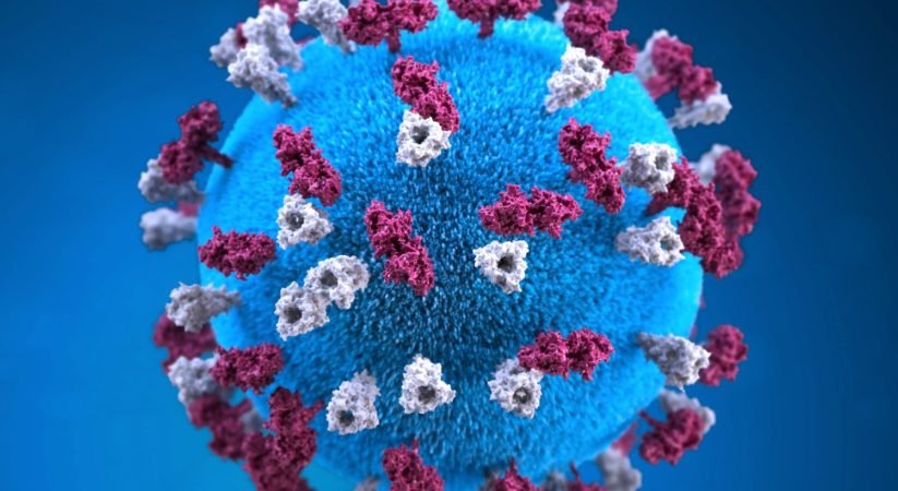 කඩදායි මත පැය 24ක් – ප්ලාස්ටික් මත පැය 72ක් කොරෝනා වෛරසය ජීවත් වෙනවා