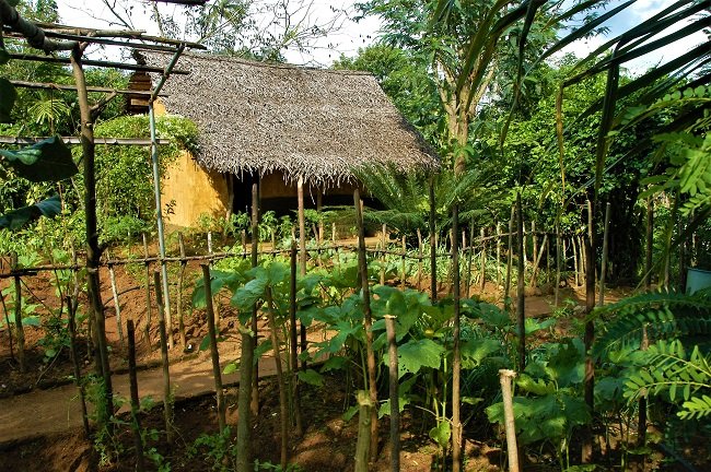 සාර්ථක ගෙවතු වගාවකට දැනගත යුතුම කරුණු කිහිපයක් මෙන්න