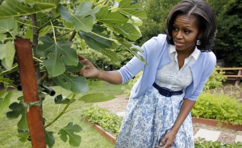 මිෂෙල් ඔබාමාගේ ‘ලෝ ප්‍රකට ගෙවතු වගාව’