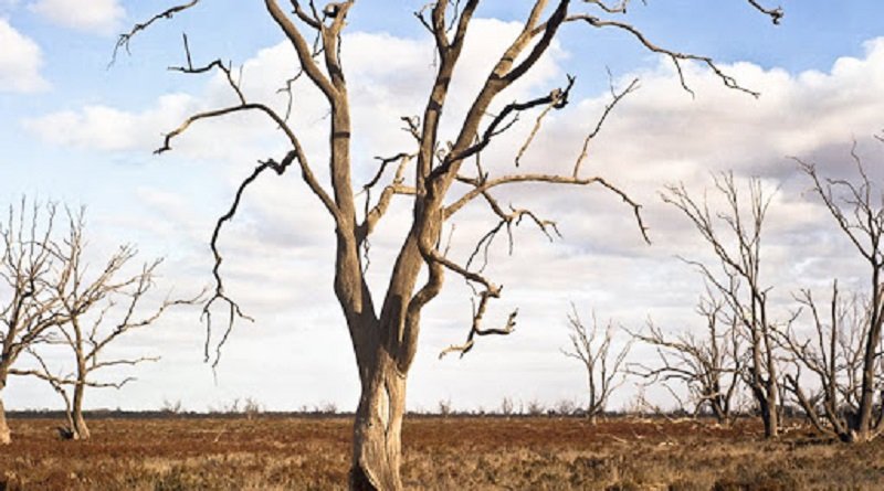 ගම්පහ දිසාවේ පවුල් 10,642ක් නියගයෙන් පීඩාවට පත් වෙලා