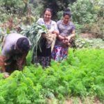 විගණකාධිපතිවරයා හෙළිකරන ‘ශ්‍රී ලංකාවේ පළිබෝධනාශක භාවිතයේ තිත්ත කතාව’