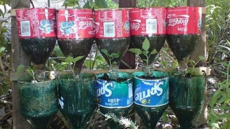 පොතේ තියෙන ගෙවත්ත නොව ‘හිතේ තියෙන ගෙවත්ත’ නිර්මාණය කර ගනිමු