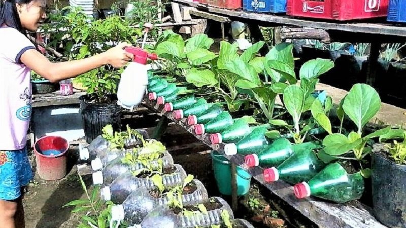 නාගරික කෘෂිකර්මය ගැන යළි සිතා බලන්න ‘සුදුසුම කාලය’ උදා වෙලා