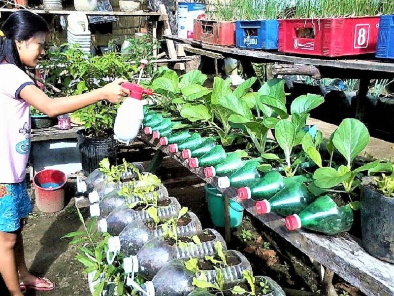 නාගරික කෘෂිකර්මය ගැන යළි සිතා බලන්න ‘සුදුසුම කාලය’ උදා වෙලා