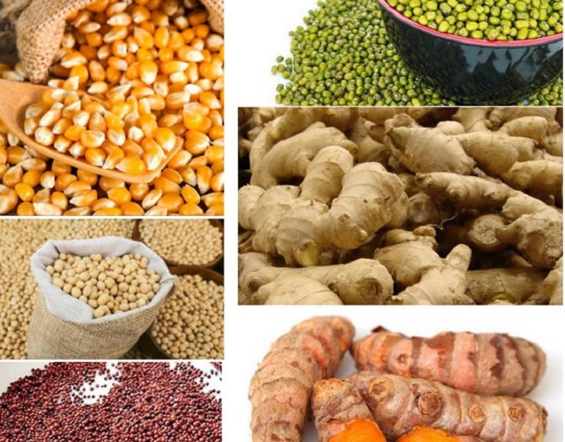 කොරෝනා උණුසුම මැද බලගැන්වුණු ‘බෝග 16 විප්ලවයට’ ඔබත් එක් විය යුතු මෙනිසයි!