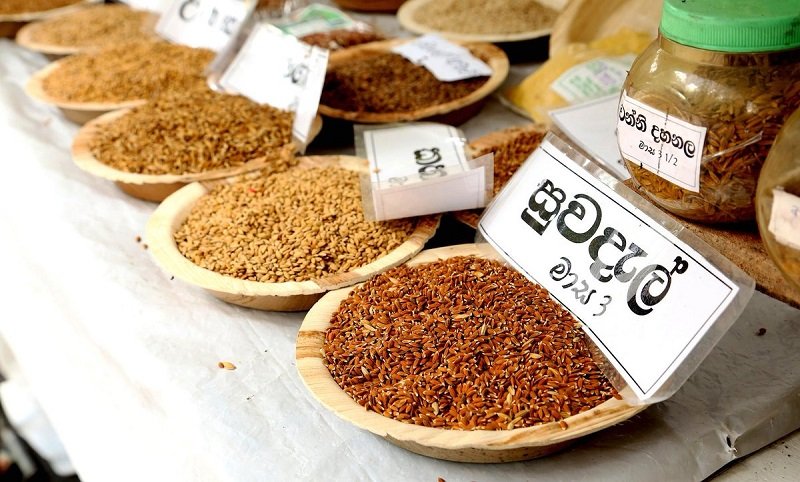 සාම්ප්‍රදායික වීවලට නැවත ගියහොත් ‘ආහාර සුරක්ෂිතතාවය’ නැතිවීමේ අවදානමක් !