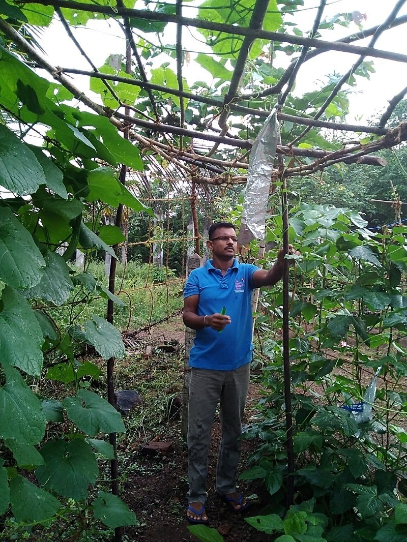 කොරෝනා වසංගතයට අභියෝග කරමින් ‘රටපුරා ගෙවතු වගාව’ ජයට සිදුවන හැටි !