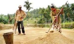 ආහාර සුරක්ෂිතතාවයට ජනපතිගෙන් නව වැඩපිළිවෙළක්