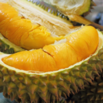පැහිල ඉදුණ දූරියන් හඳුනාගනිමු